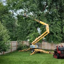  Riner, VA Tree Care Services Pros