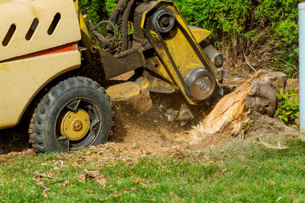 Best Tree Mulching  in Riner, VA